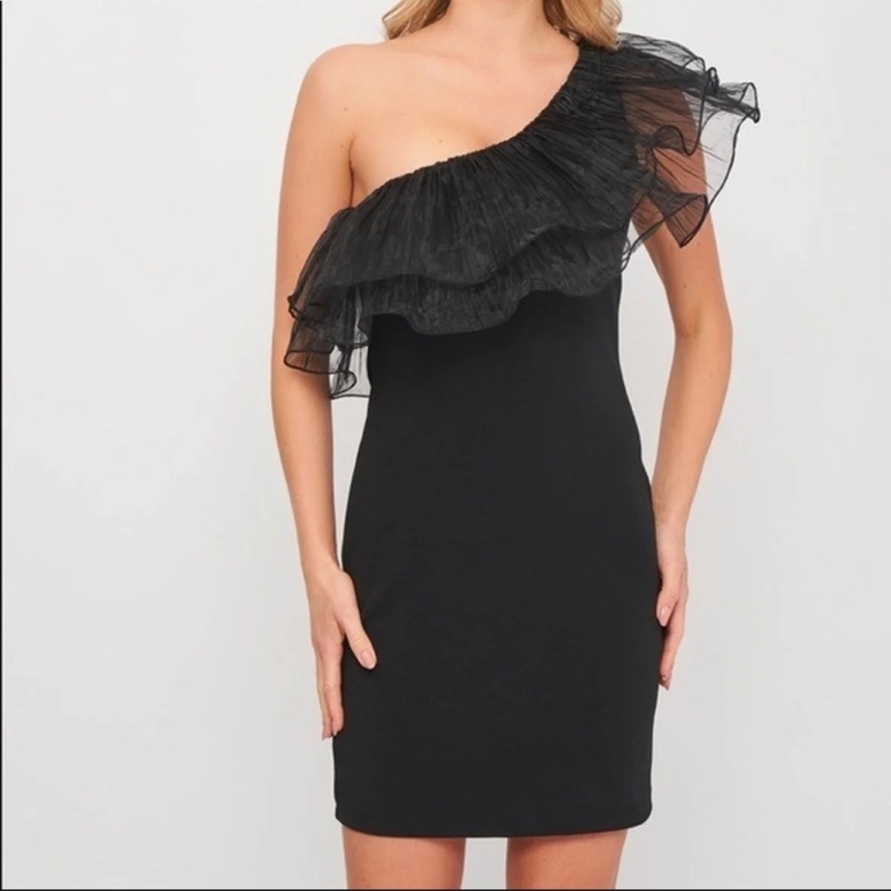🥰🥰ZARA Organza Asymmetrical One Shoulder Dress🥰🥰